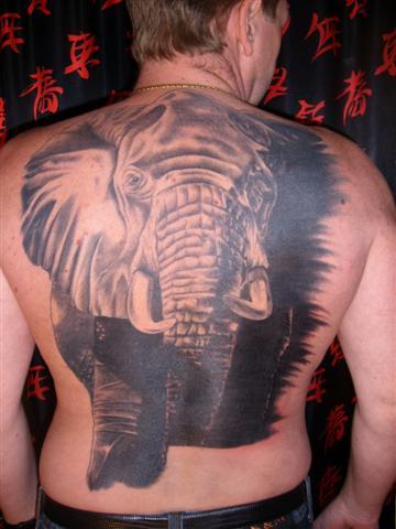 Photo de Eléphant d' Afrique, animaux, tatouage