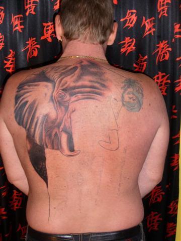 Photo de Eléphant d' Afrique, animaux, tatouage
