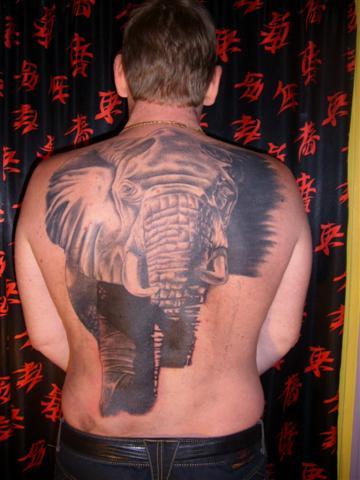 Eléphant d' Afrique