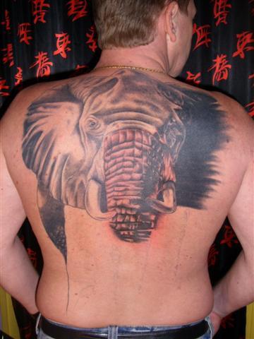 Photo de Eléphant d' Afrique, animaux, tatouage