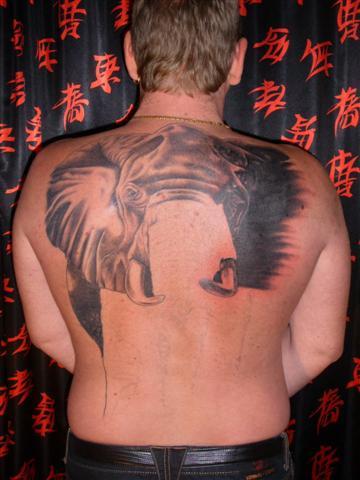 Photo de Eléphant d' Afrique, animaux, tatouage