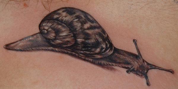 escargot