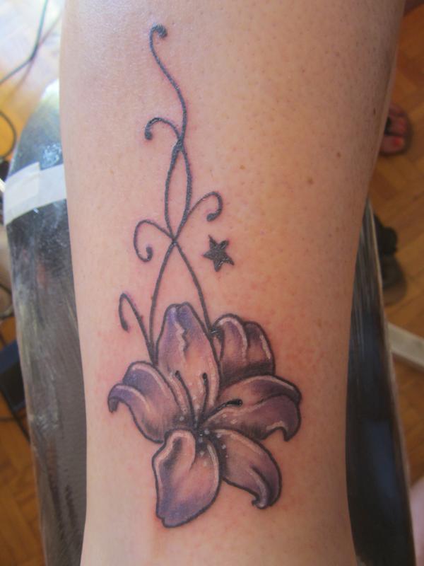 Photo de fleur de lys, fleur, arabesque