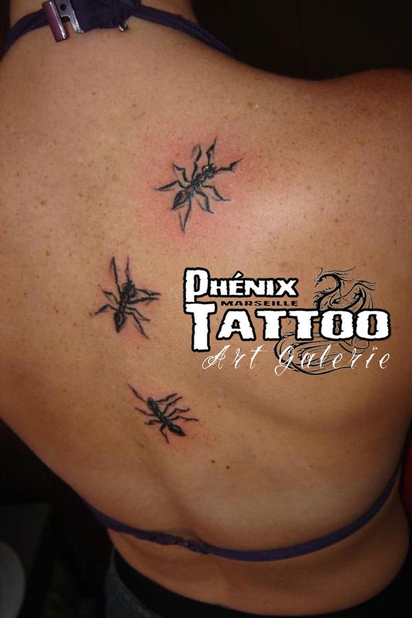 Photo de Fourmis, insecte, animaux réalisé par La Galerie du Phénix, Art & Tattoo