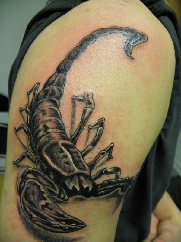 Photo de Gros scorpion, scorpion, animaux réalisé par fred-ink tattoo