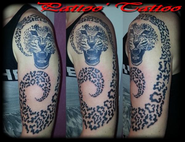Guépard