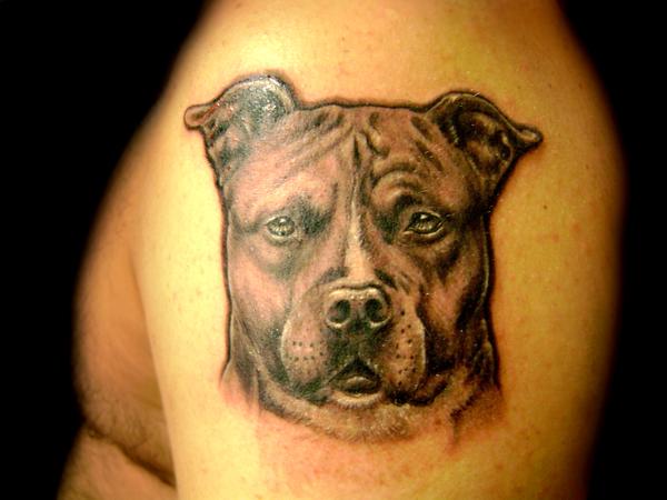 Gueule de Chien!