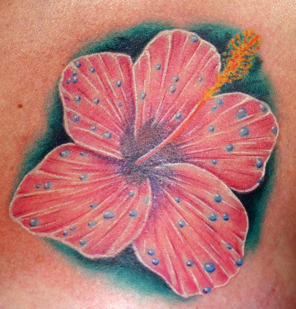 Photo de ibiscus couleur réaliste, fleur, réaliste réalisé par Bodygraphic
