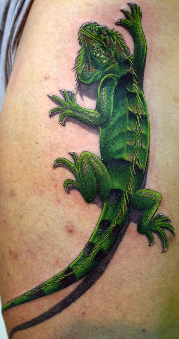 Photo de iguane réaliste grimpant, réaliste, animaux réalisé par Bodygraphic