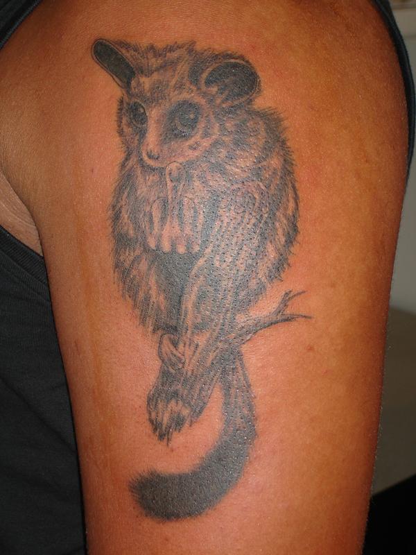 Photo de lémurien sur sa branche, animaux, tatouage réalisé par Bodygraphic