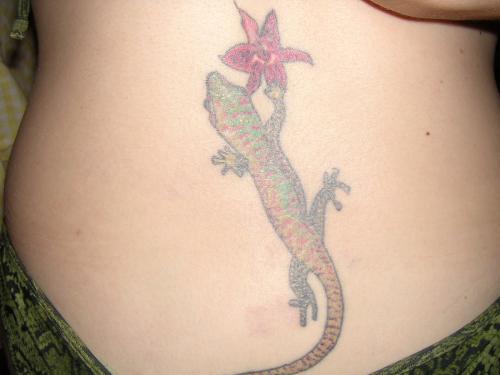 Lézard et fleur
