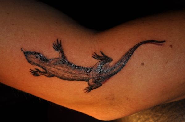 Lézard réaliste