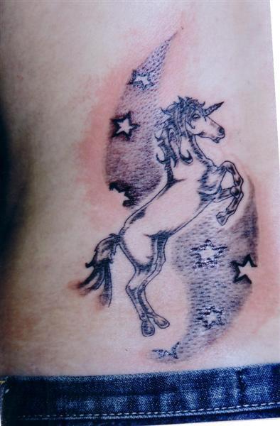 Licorne et etoiles
