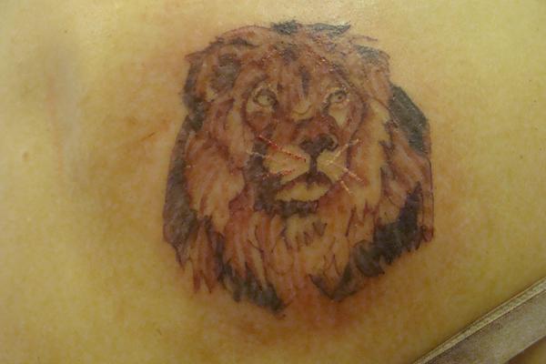 Photo de Lion, lion, animaux réalisé par StudioBeauté