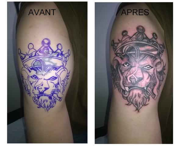 Lion