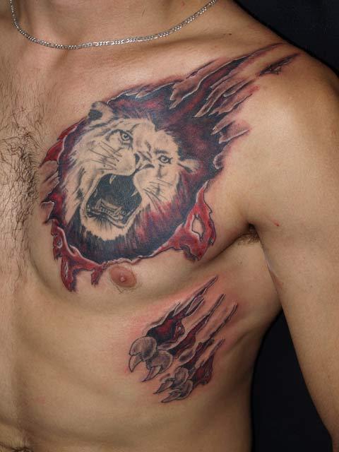 Lion et déchirure