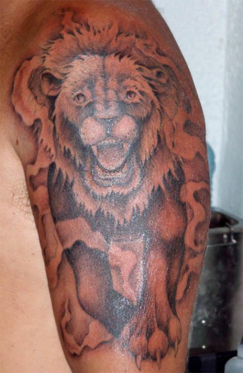 Photo de Lion gwada, savane, lion réalisé par Cat's Eyes Tattoo/Piercing