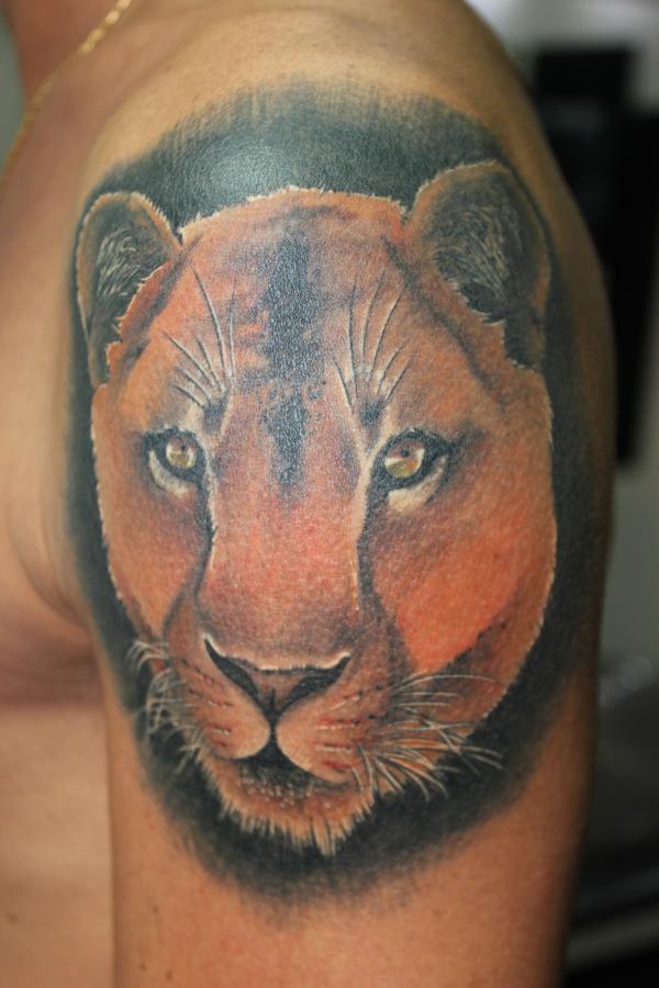 Lionne réaliste couleur