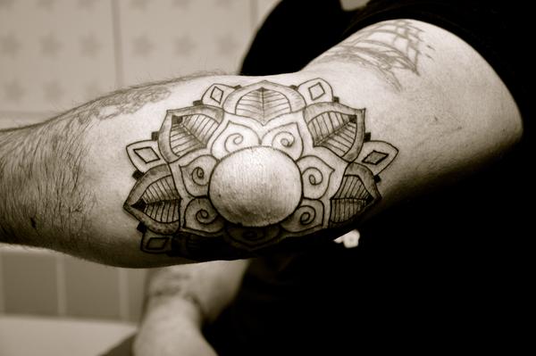 lotus oriental