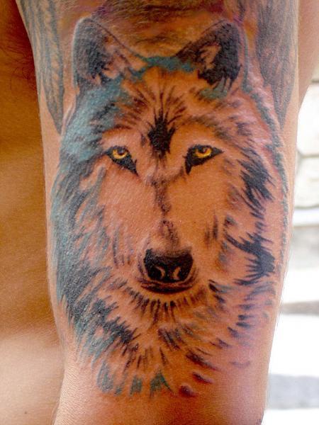 loup