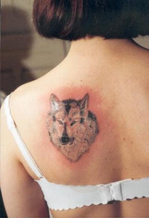 Loup nathalie