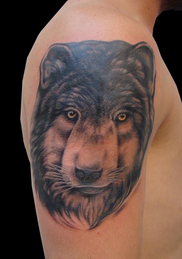 Photo de Loup, loup, animaux réalisé par Karma'z Needles Tattoo Shop