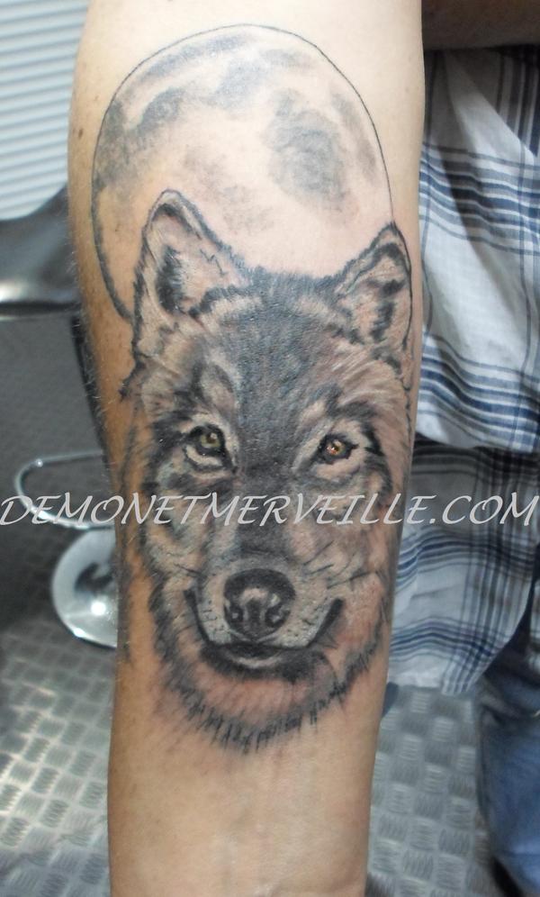 Photo de Louve, loup, animaux réalisé par Demon & Merveille