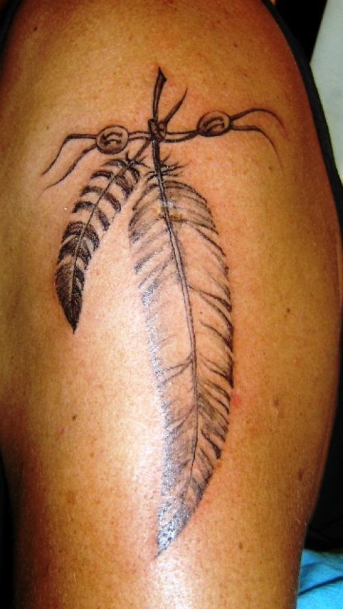 Photo de Nature, lacet, plume