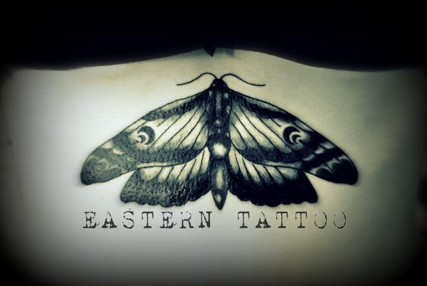 papillon