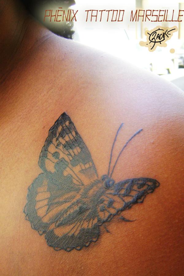 Papillon
