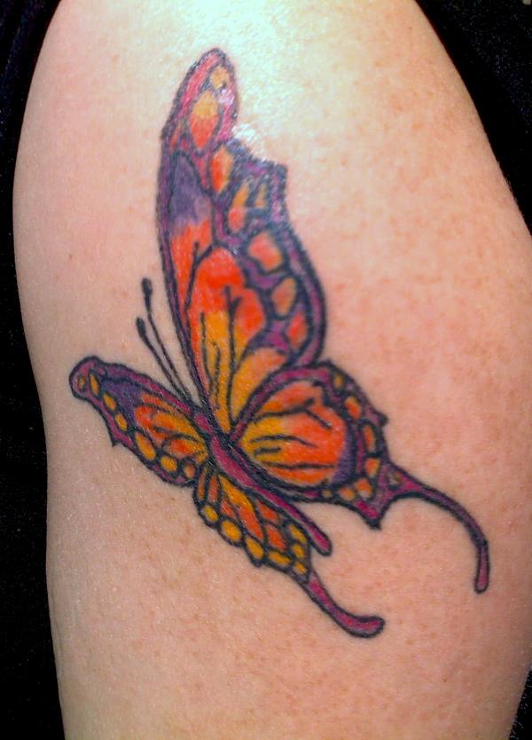 Photo de papillon, insecte, papillon