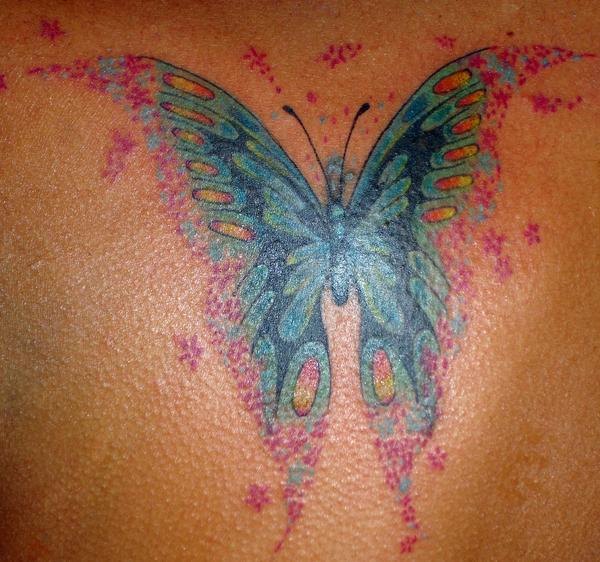 Photo de papillon couleur, papillon, animaux réalisé par Bodygraphic