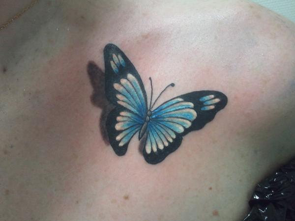Photo de papillon couleur, poitrine, couleur réalisé par Dermo graph'inK