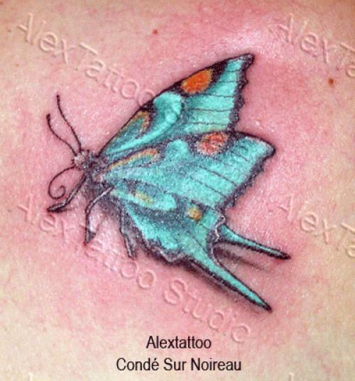 Papillon couleur