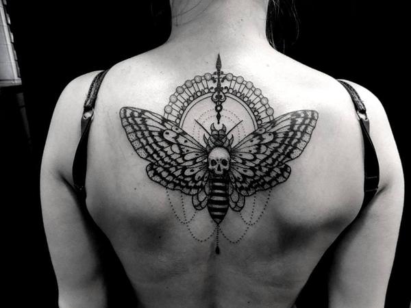 papillon de nuit