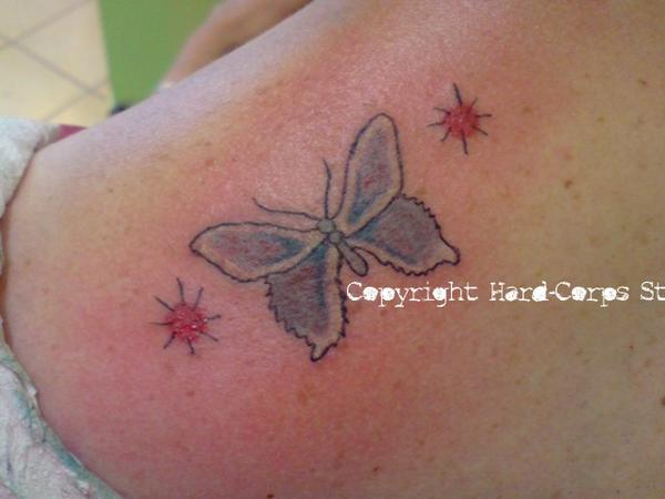 Papillon et étoiles