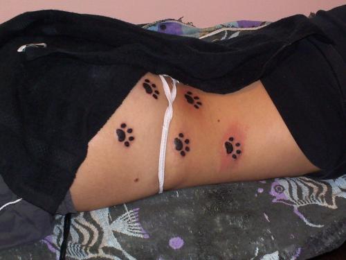 Photo de Pates de chat, animaux, tatouage