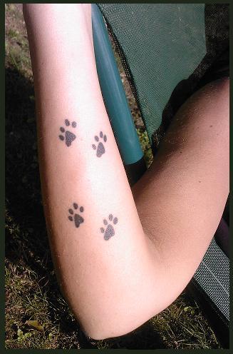 pattes de chat
