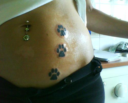 Pattes de chats