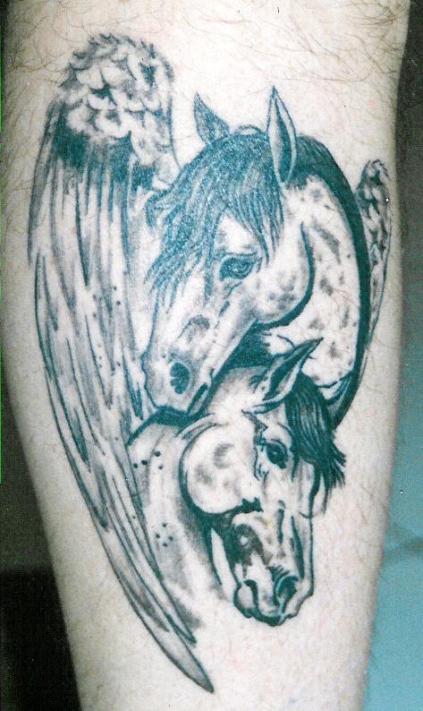 pégase cheval