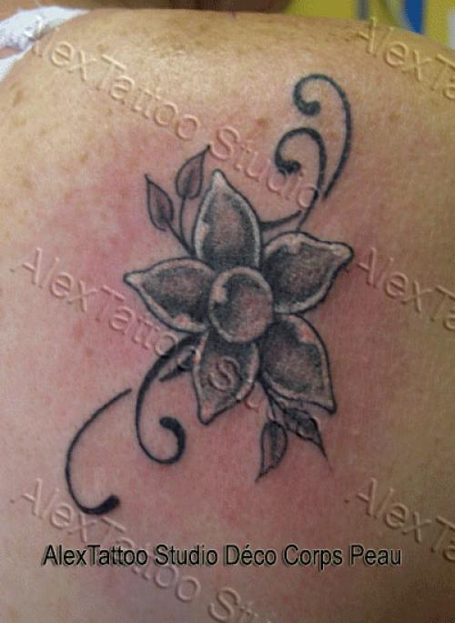 Petite fleur