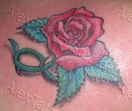 Photo de Petite rose, fleur, rose réalisé par Déco Corps Peau
