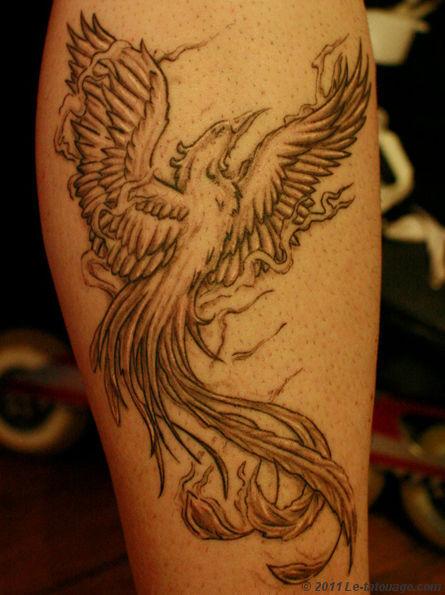 phoenix