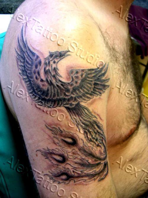 Phoenix oiseau