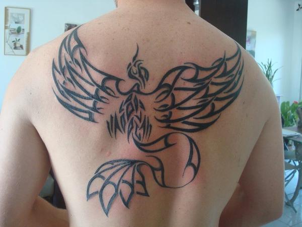 Photo de phoenix tribal, tribal, tatouage réalisé par Artcorp by seb
