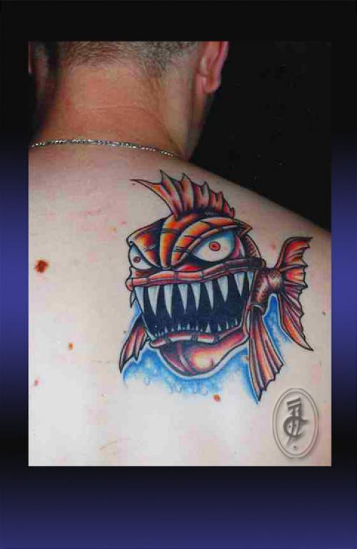 Photo de Piranha, poisson, animaux