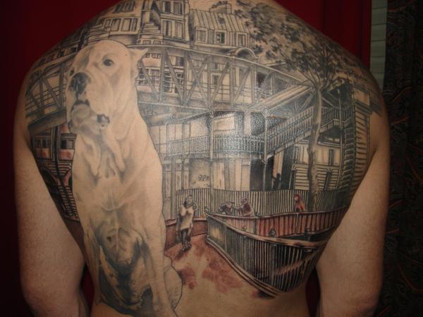 Photo de Pitbull et décor, pitbull, décor