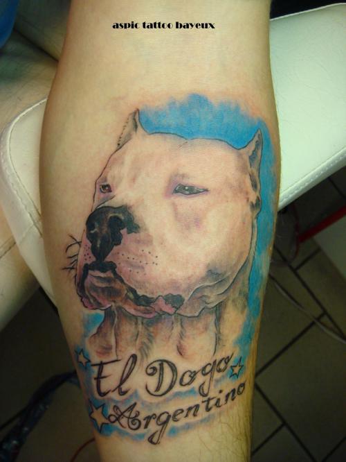 Photo de pitbull tête de chien, chien, réaliste réalisé par Aspic  Tattoo