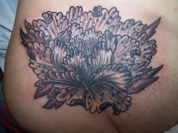 pivoine