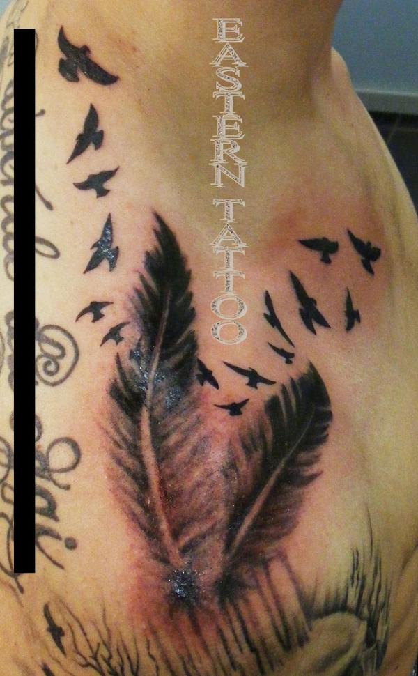Plumes et aigles